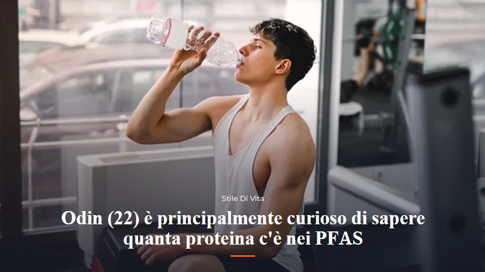 Vignetta satirica